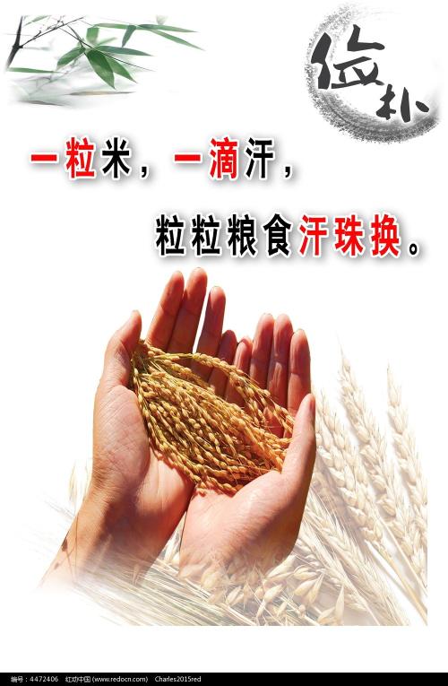 定制高仿圣约瑟夫卡柳梅特学院文凭毕业证